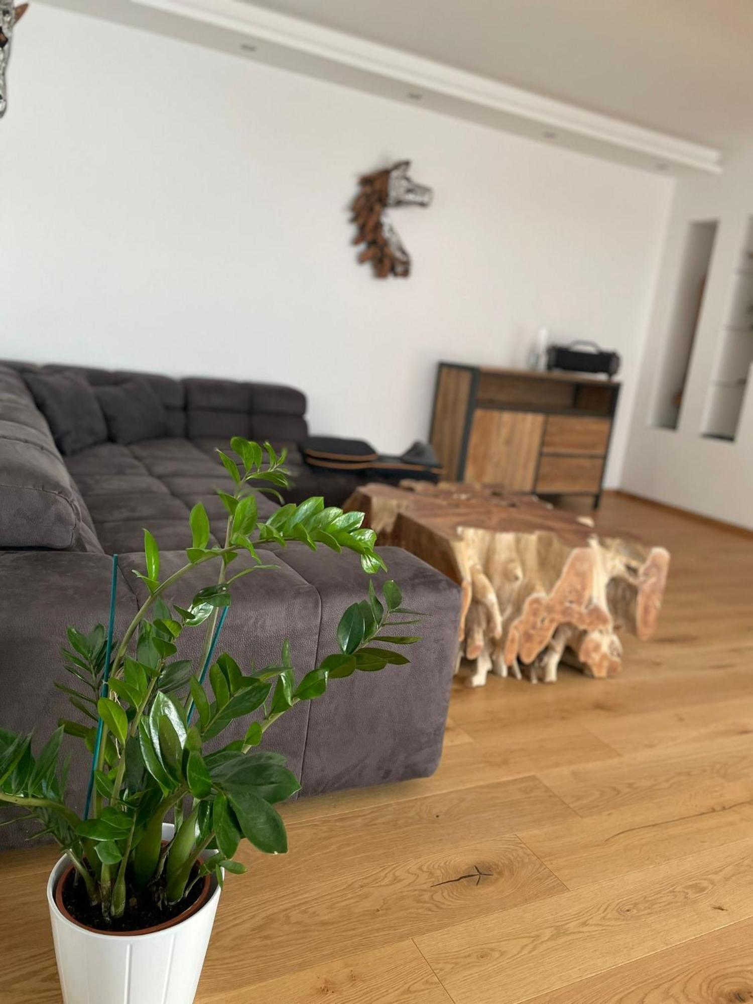 Appartement Lina&Lejs 그뢰브밍 외부 사진